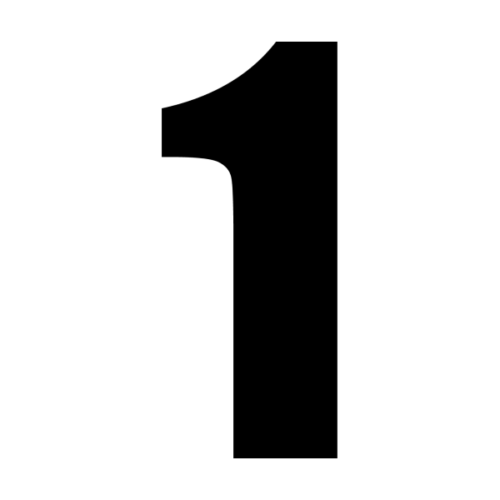 1 race number