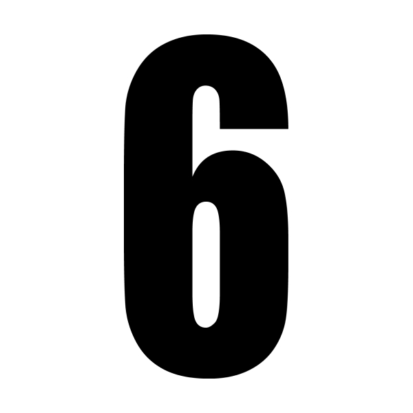 6 race number